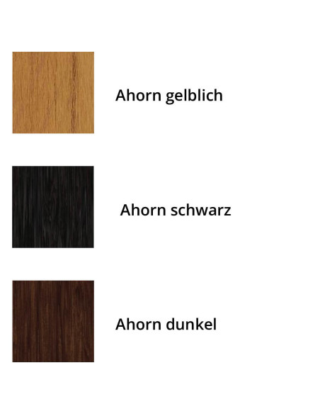 Eames Plastic Chair DSW RE von Vitra mit Ahorn-Untergestell | 6 Stück | betz-designmoebel.ch