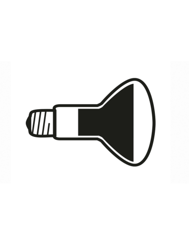 LED Leuchtmittel 12W E27 220-240V 2700K R125 von Flos | betz-designmöbel.ch